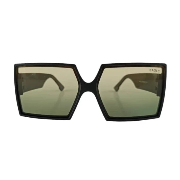 Sunglass - Front view