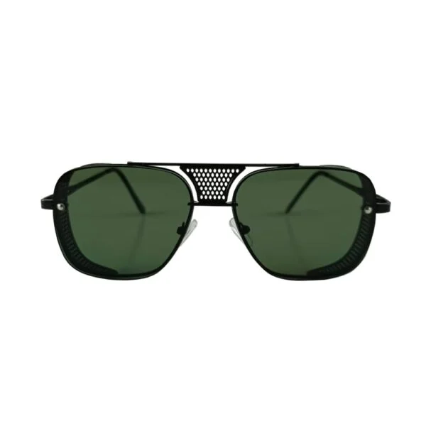 Sunglass - Front view