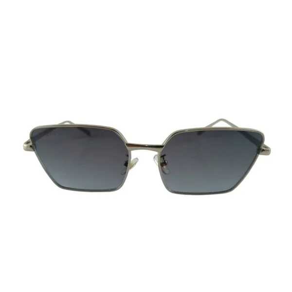 Sunglass - Front view