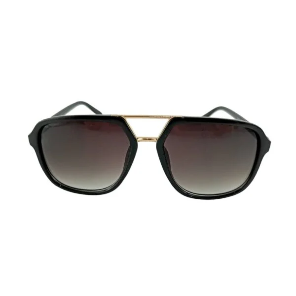 Sunglass - Front view