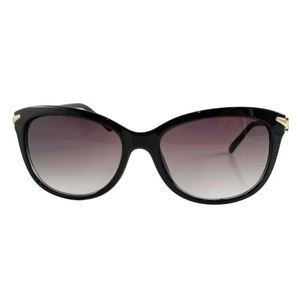 Sunglass - Front view