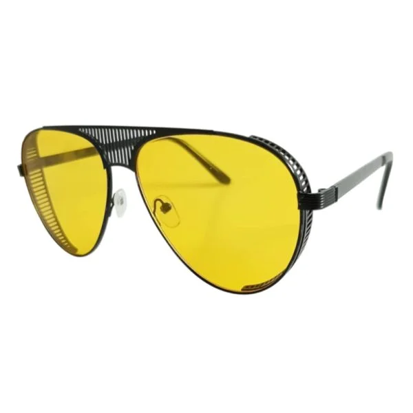 Sunglass -Diagonal view