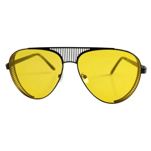 Sunglass - Front view