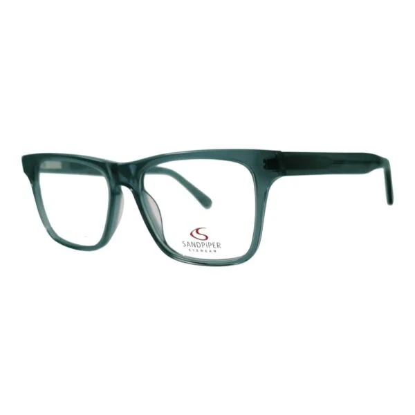 Sandpiper Black Transparent Eyeglass