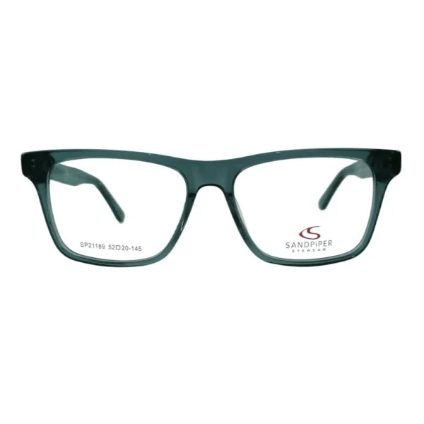 Sandpiper Black Transparent Eyeglass